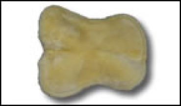 Preview: Engel Sattelkissen 2 Fellkranz vorne und hinten