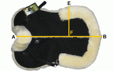 Engel Sattelkissen 2 Fellkranz vorne und hinten