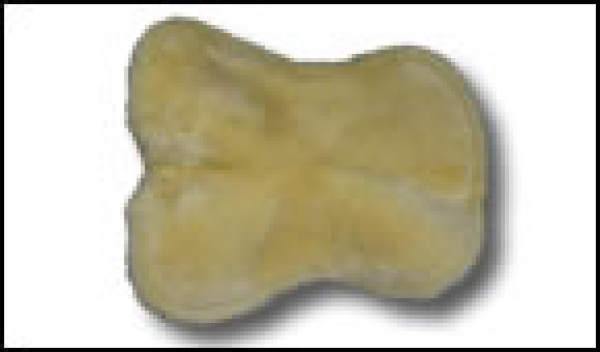 Engel Sattelkissen 2 Fellkranz vorne und hinten