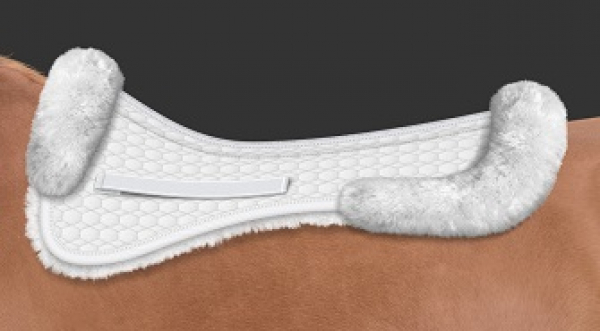 Rand hinten normales Sattelkissen